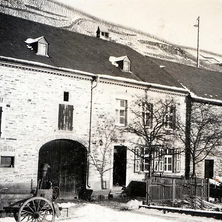 Altes Loerscher Winzerhaus Mehring  Exterior photo